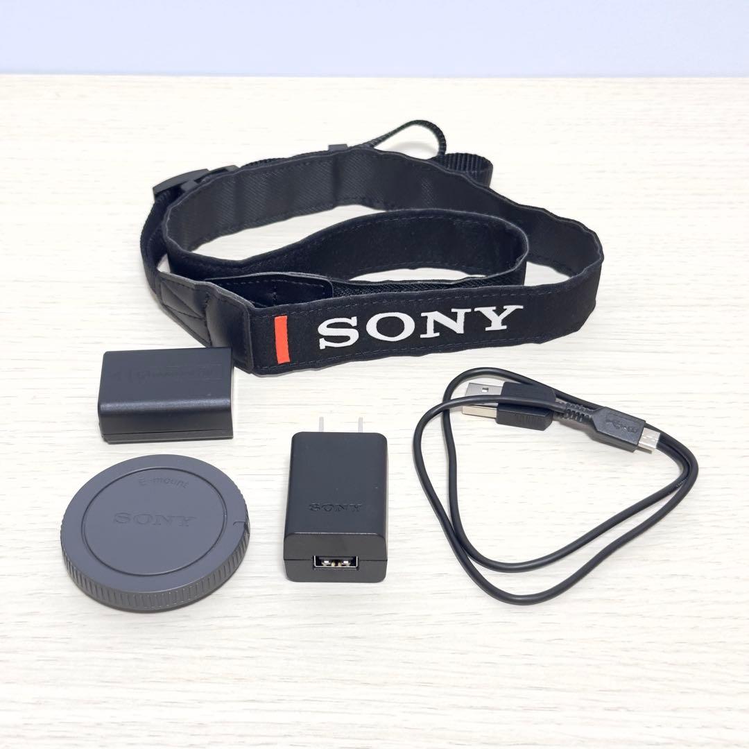 SONY ミラーレスカメラ α6400 標準パワーズームレンズ　SDカード付き