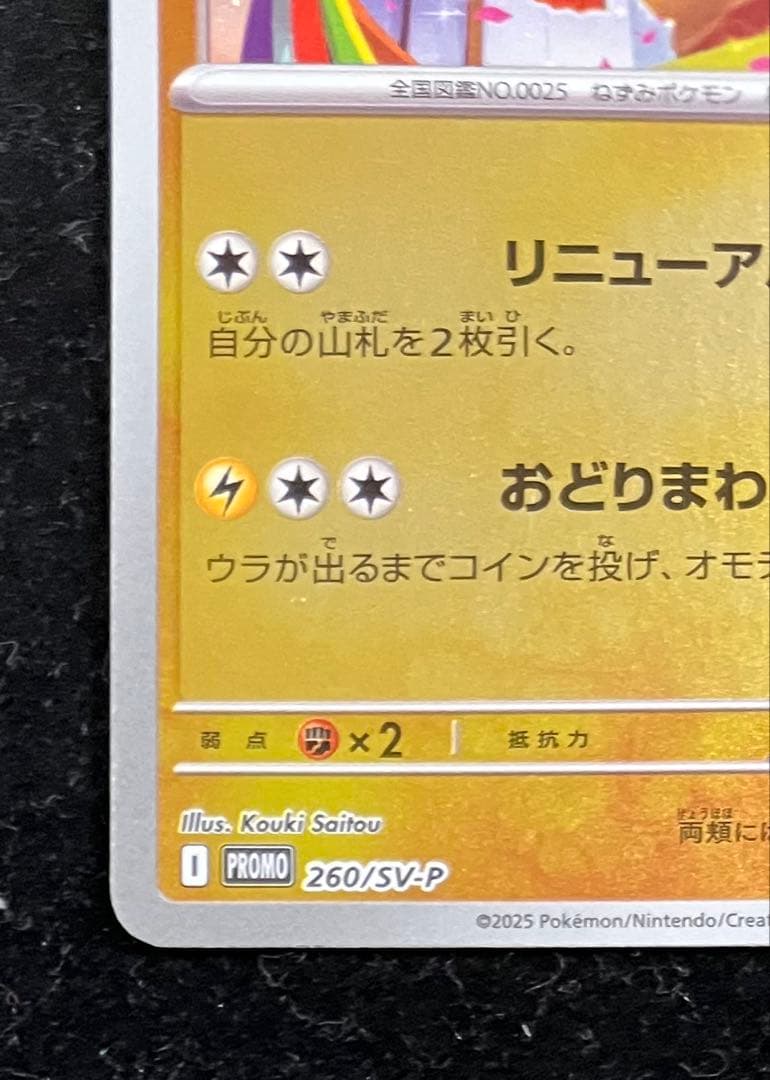 トウホクのピカチュウ ③