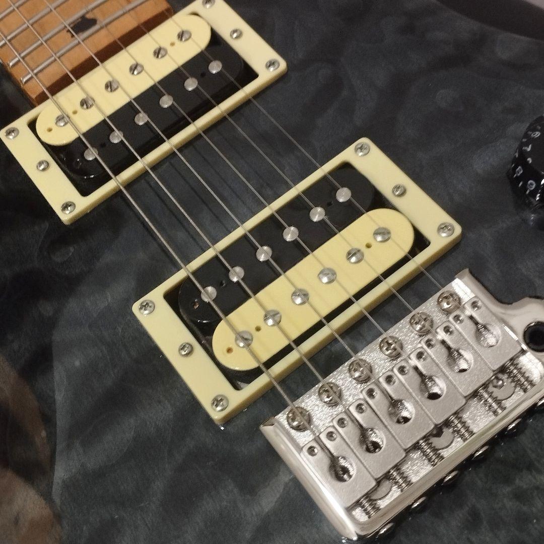 ギター PRS SE Custom 24 Limited Gray Black