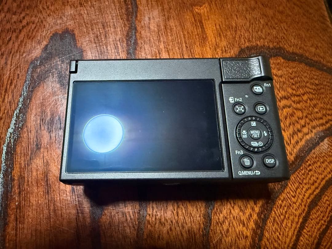 パナソニック LUMIX DC-TZ99 ケース付属