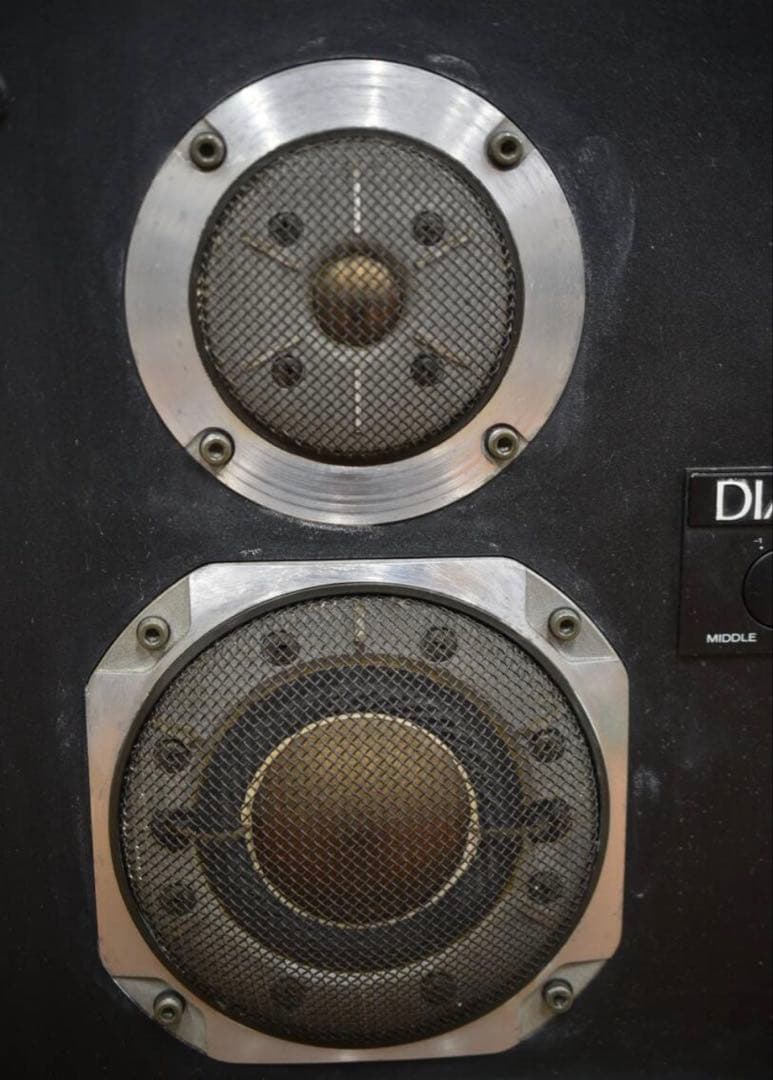 DIATONE DS-501 スピーカー ペア 音出し確認済 オーディオ機器
