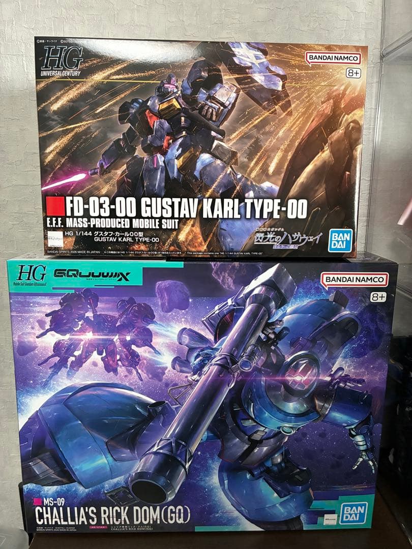 【未組立品】HG グスタフ・カール００型 & シャリア専用リックドム