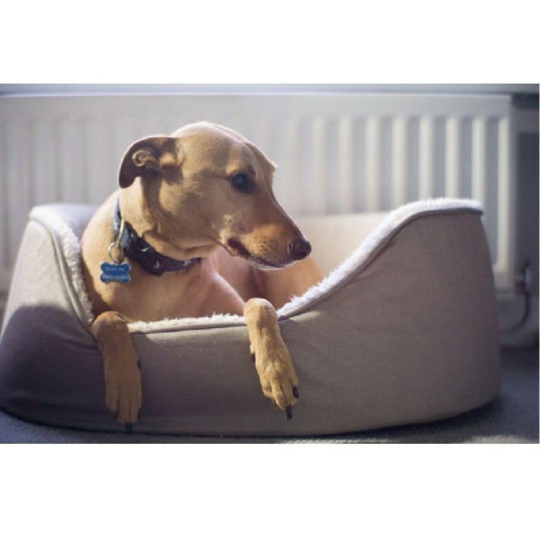 【F1.2の世界】シンデレラレンズ！FUJIFILMミラーレスカメラ対応！美品！