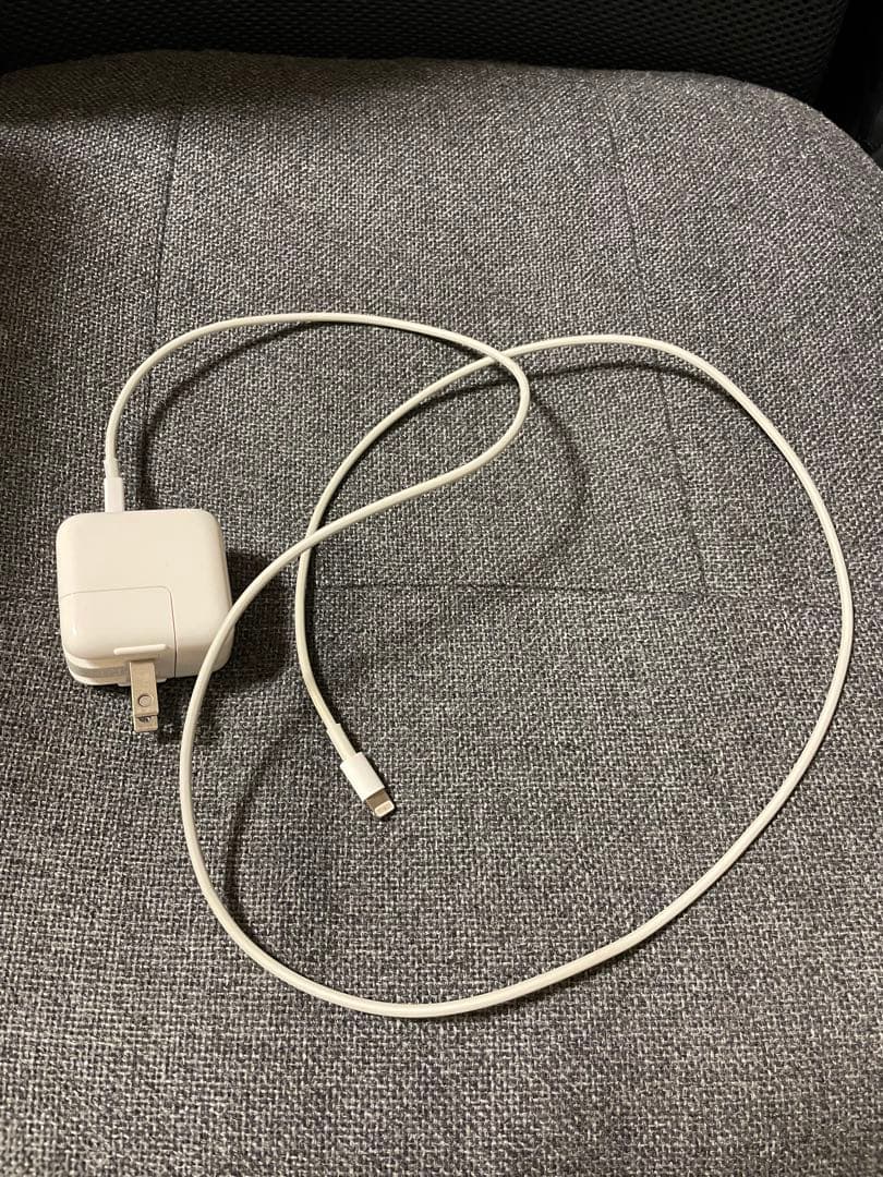 iPad本体 iPad mini4 A1550