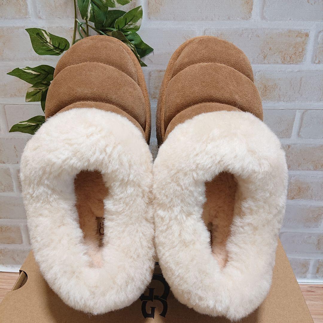 Tazzlita　タズリータ チェスナット 23cm 厚底 新品　UGG　アグ