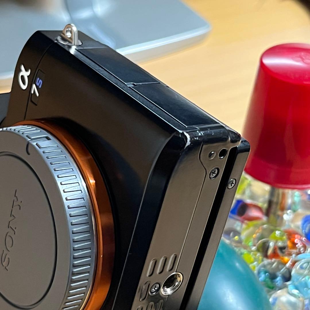 ショット回数1045回。SONY α7S 本体。