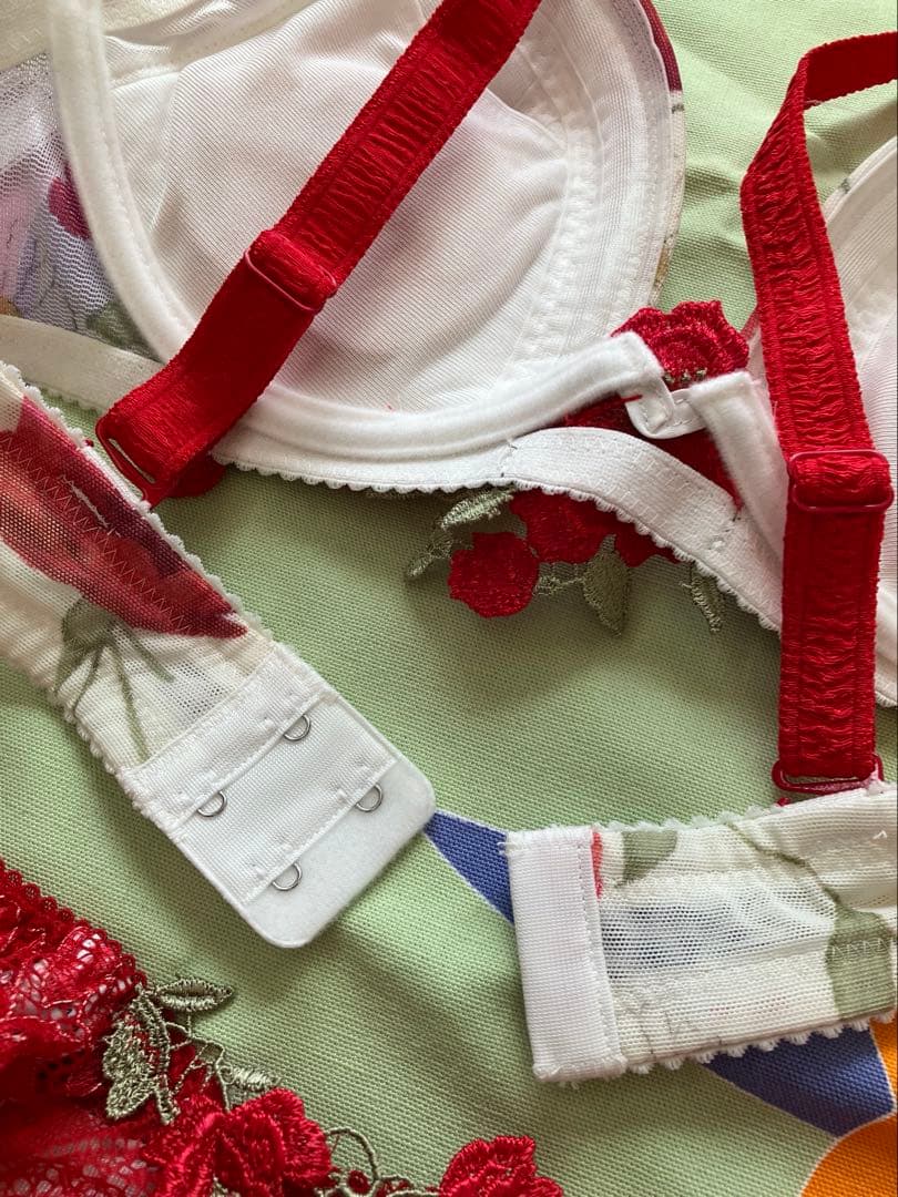 ワコール サルート Salute ブラジャー＋タンガ Tバック