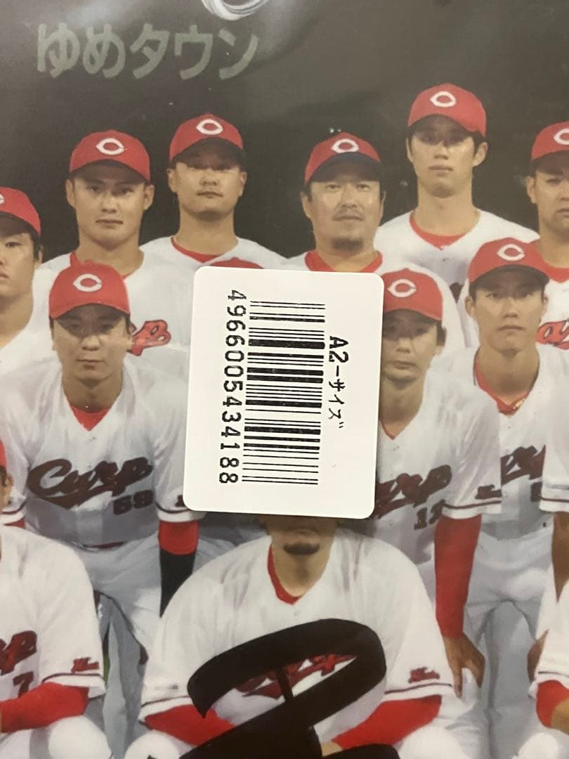 ナ*リ様 2024年　広島東洋カープ　選手会　サインパネル