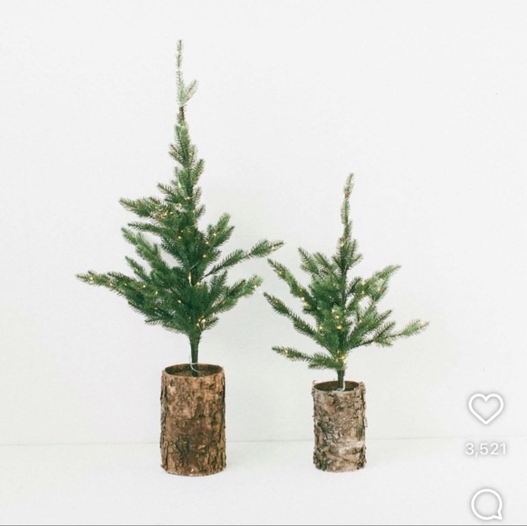 Ornedefeuilles クリスマスツリー