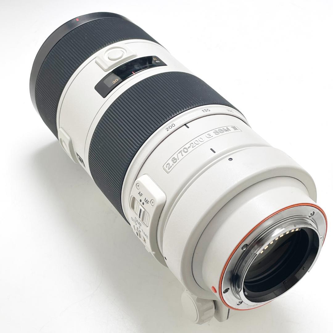 きれい ソニー 70-200mm F2.8 G SSM II