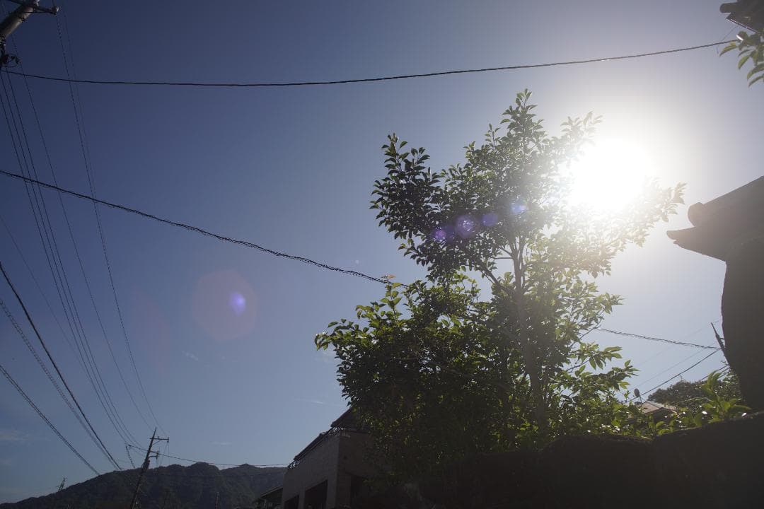 フィルムカメラ Canon NEW FD 20mm F2.8