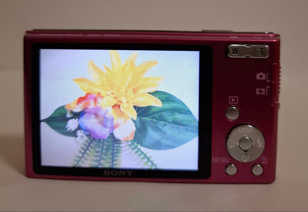 [美品]ソニー SONY Cyber-Shot DSC-W320 デジタルカメラ