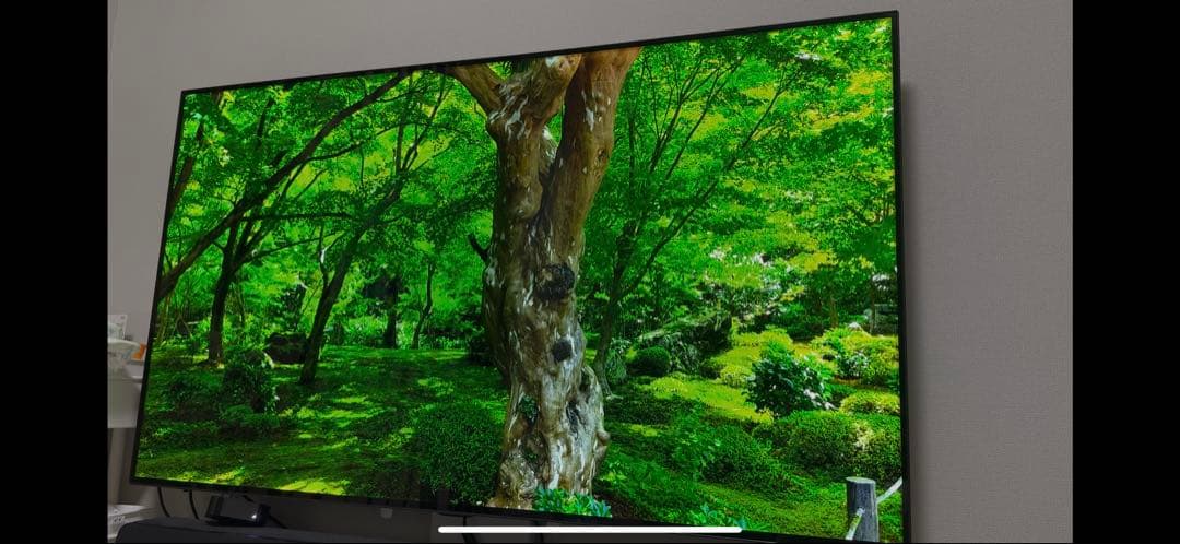 【y122o】LG有機ELテレビ 55インチ　OLED55C8PJA