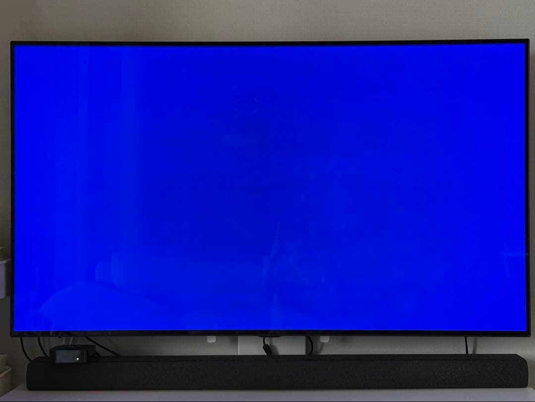 【y122o】LG有機ELテレビ 55インチ　OLED55C8PJA