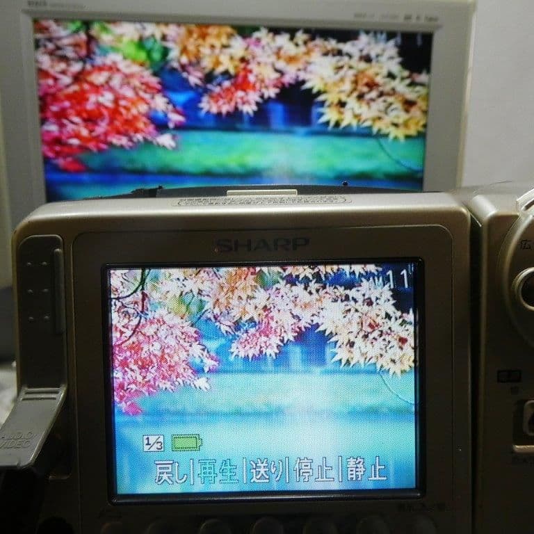 動作良好　Video.8シャープVL-EH480 8ミリビデオカメラDVD化