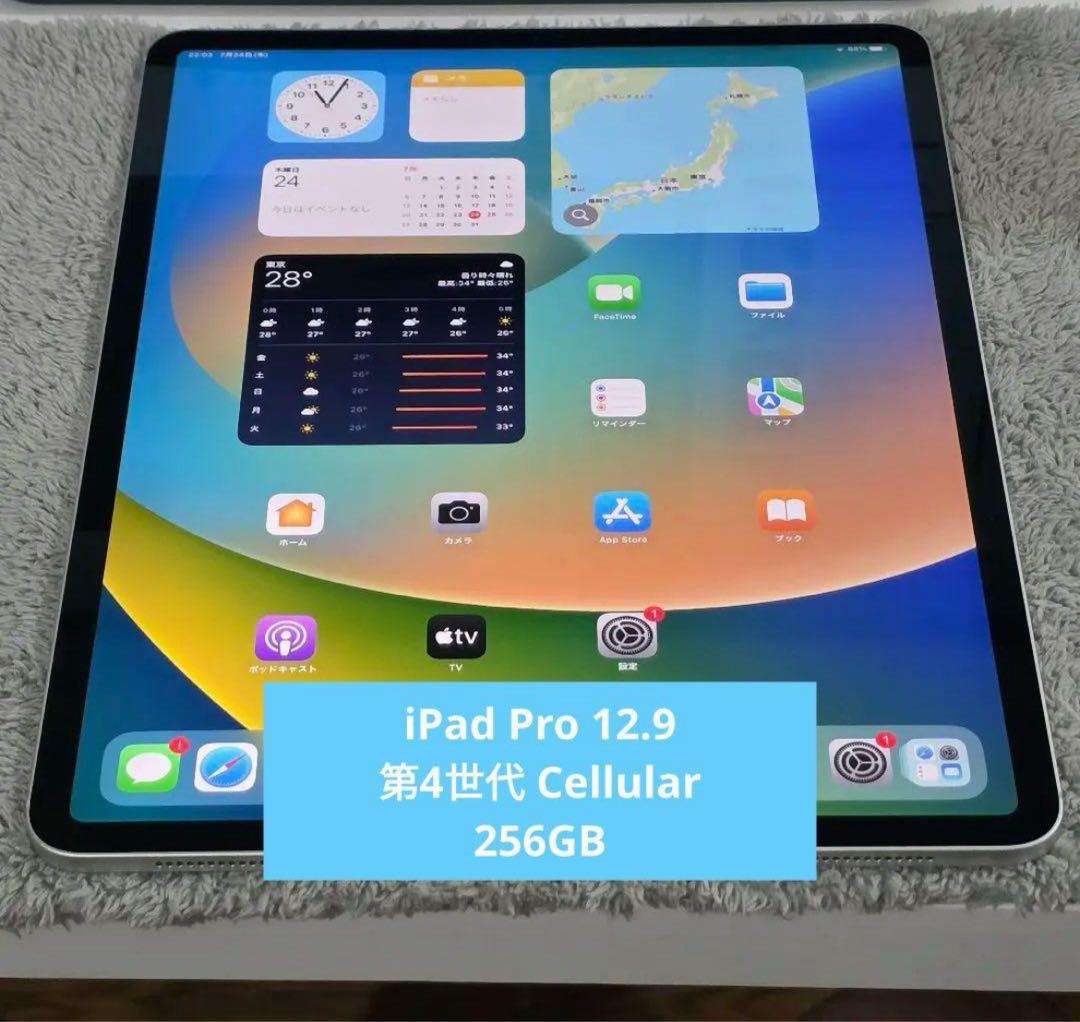 【超美品】iPad Pro 12.9 第4世代 256GBCellularモデル