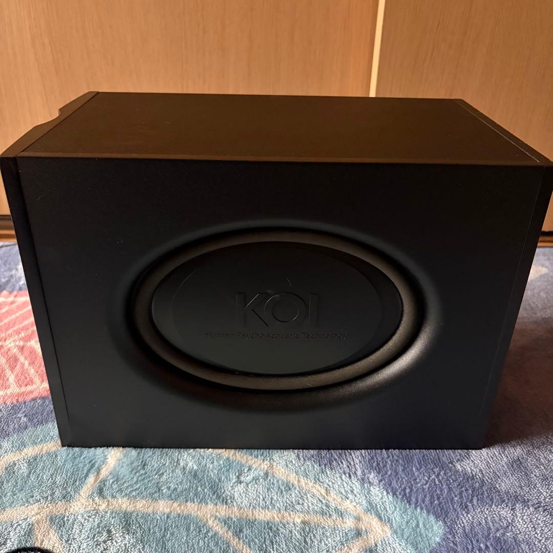 【美品】KOI Tiger Type 2a パワードスピーカーシステム