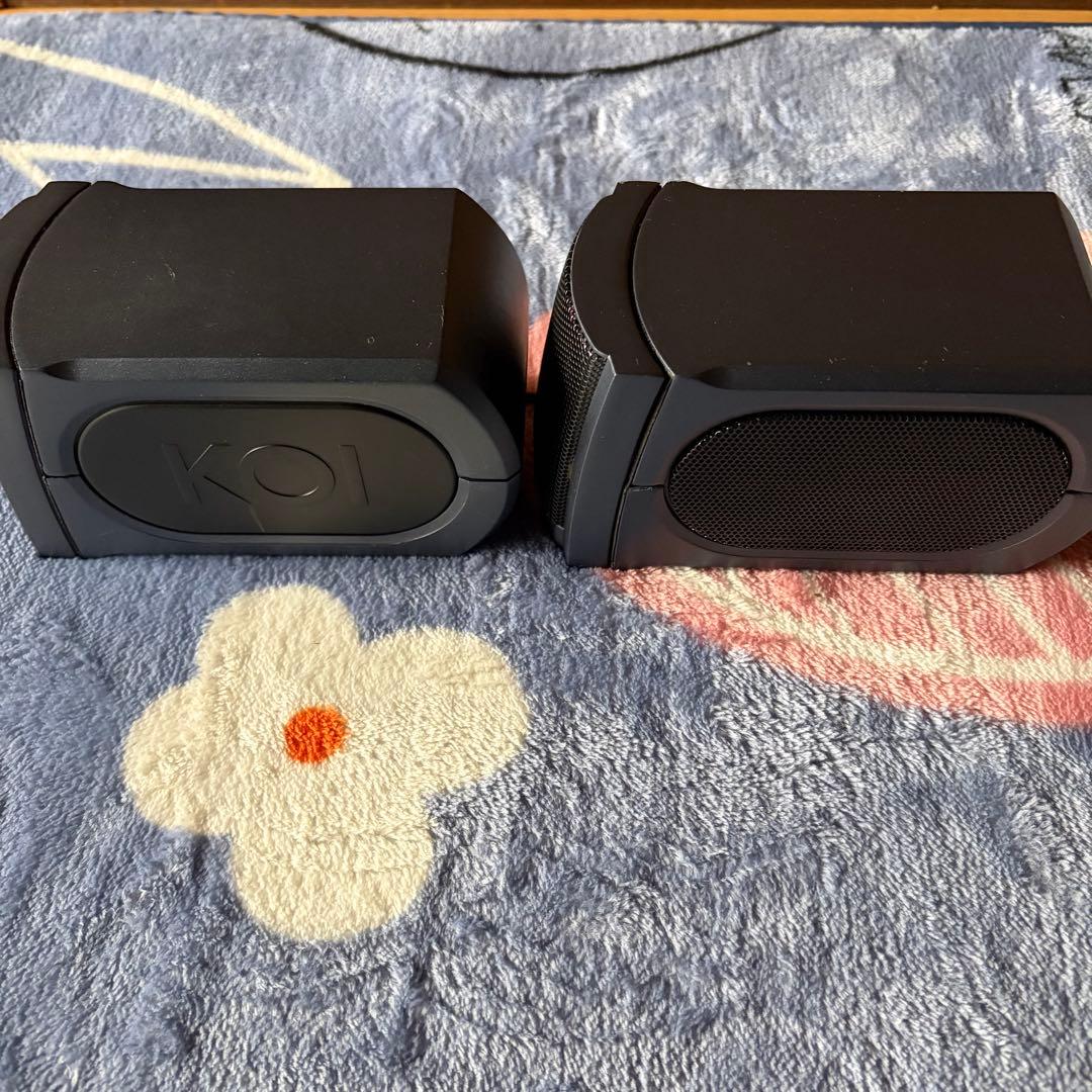 【美品】KOI Tiger Type 2a パワードスピーカーシステム