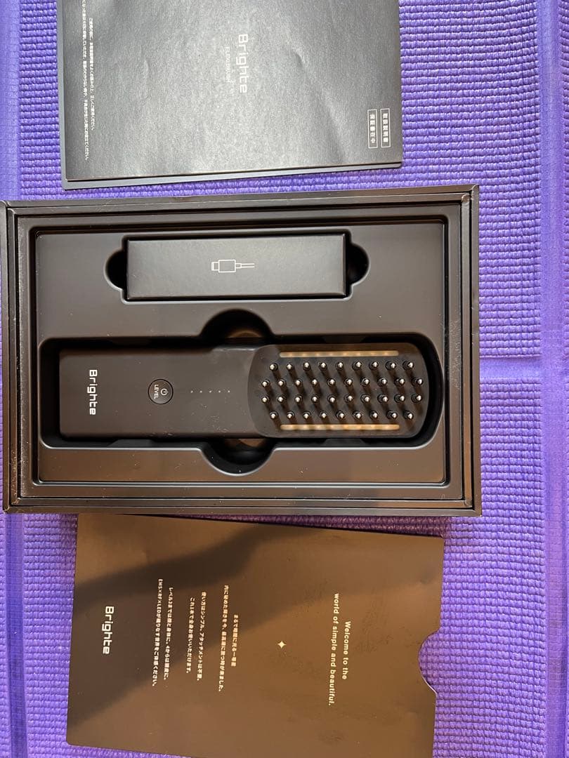 Brighte エレキブラシ 美顔器 ELEKI BRUSH