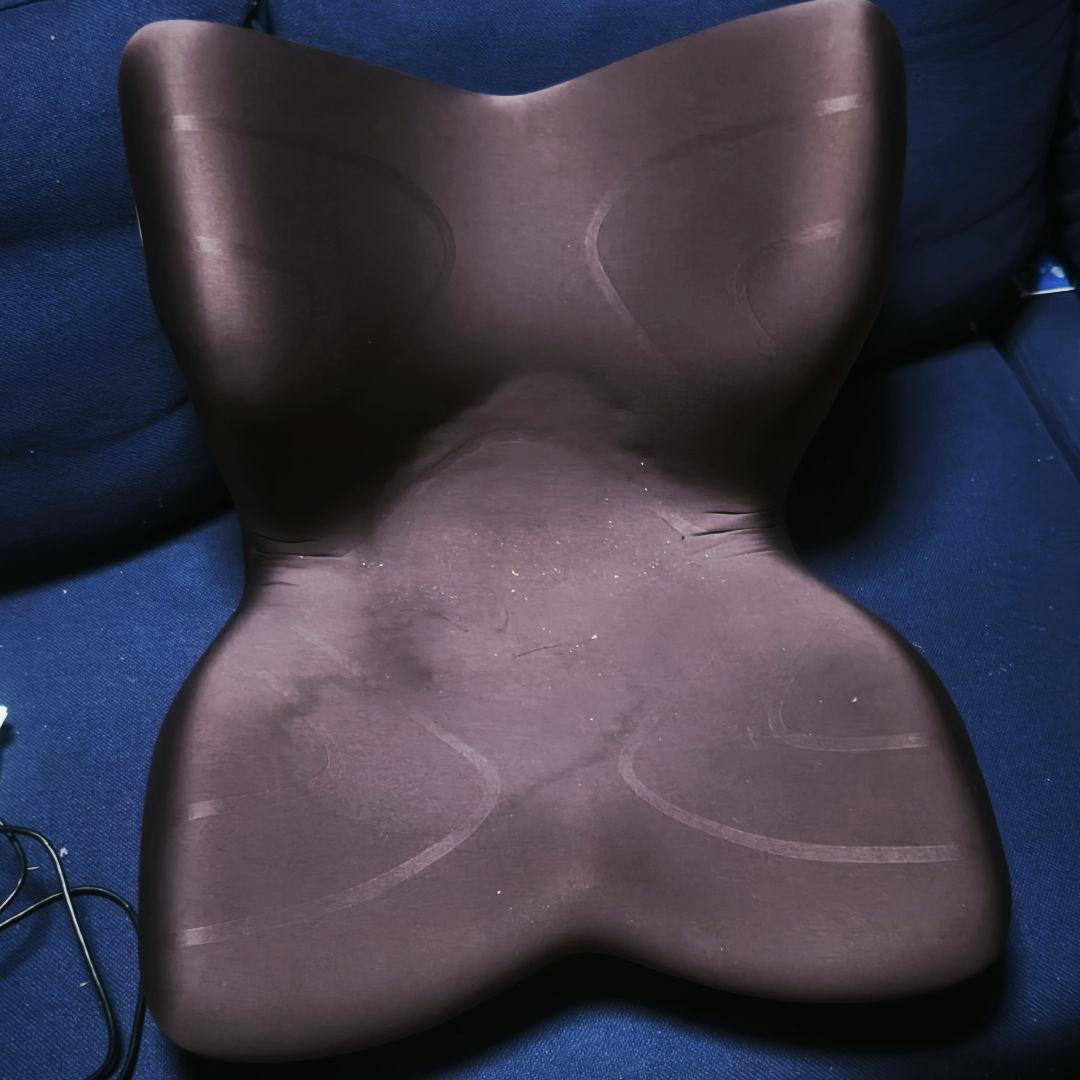 StyIe PREMIUM　スタイルプレミアム　ブラウン　骨盤矯正