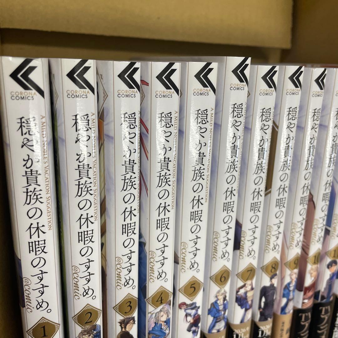 穏やか貴族の休暇のすすめ　13巻