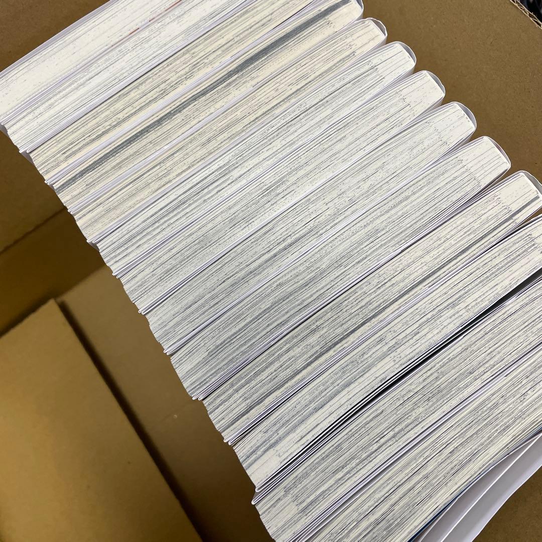 穏やか貴族の休暇のすすめ　13巻