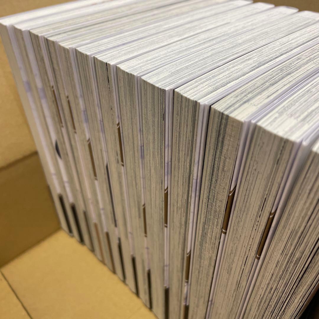 穏やか貴族の休暇のすすめ　13巻