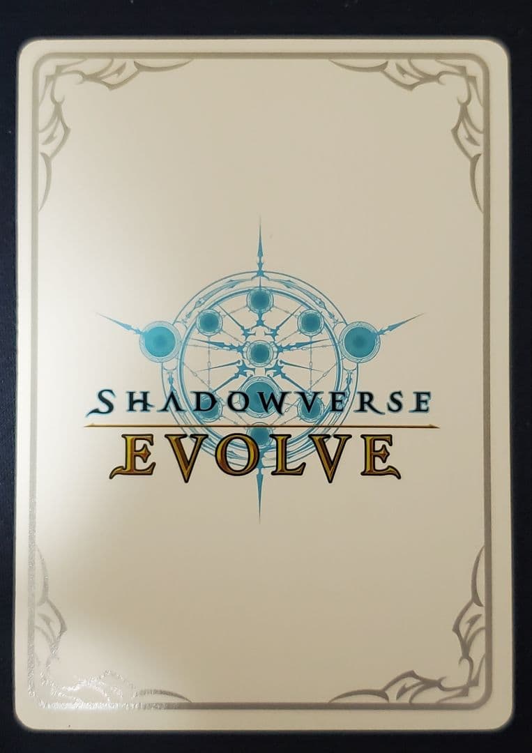 愚かなる賢者リンクル　リーダーカード