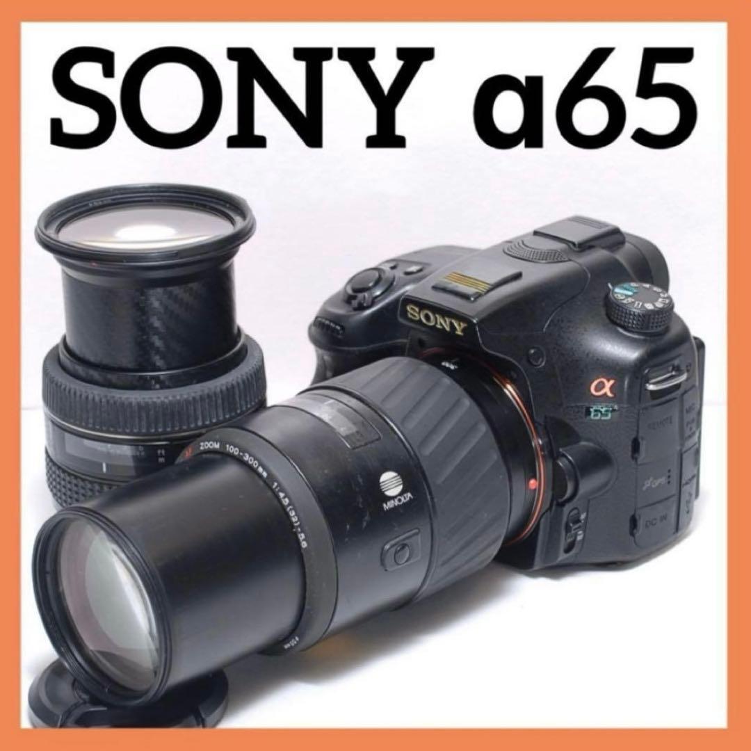 ✨初心者におすすめ✨SONY α65✨超望遠レンズ付き✨ダブルレンズ✨ソニー
