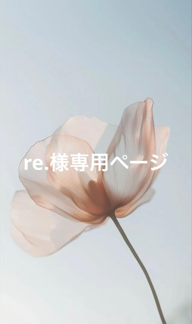 re.ページ