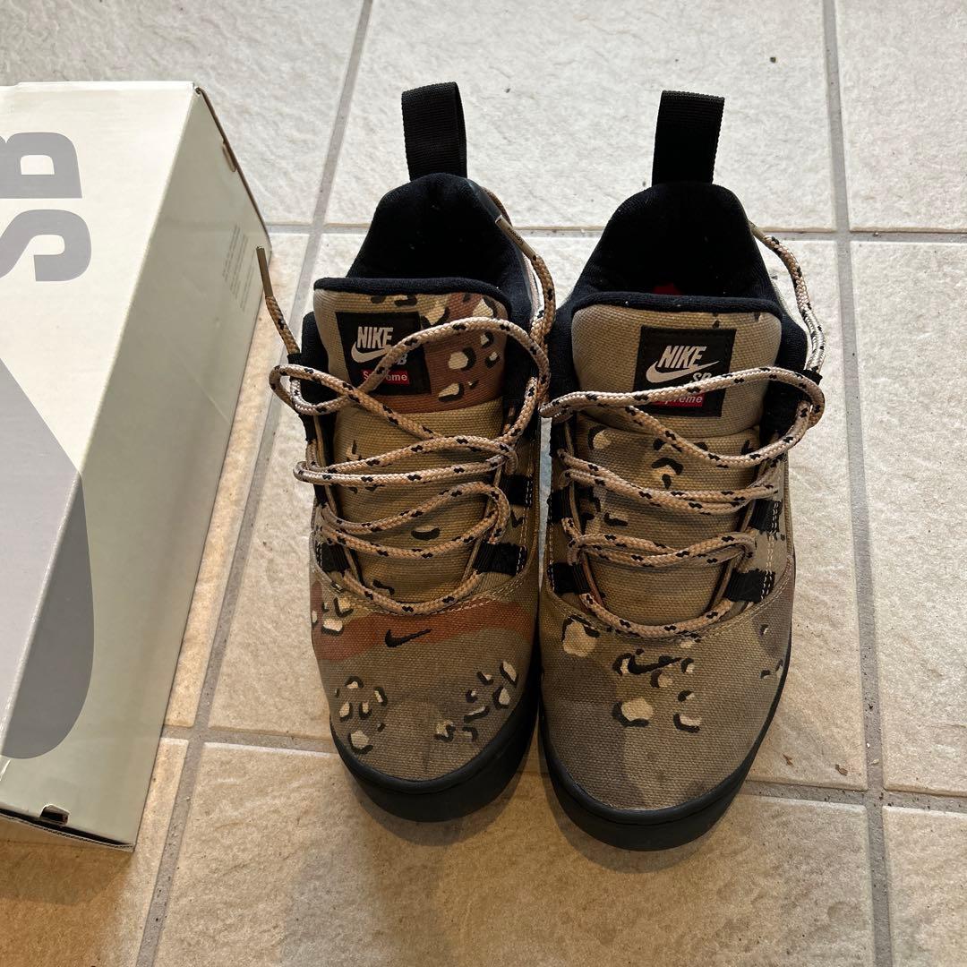 靴 Supreme Nike SB Darwin Low Desert Camo