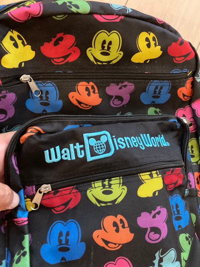 【海外限定】Disney World リュック　フロリダディズニーワールド