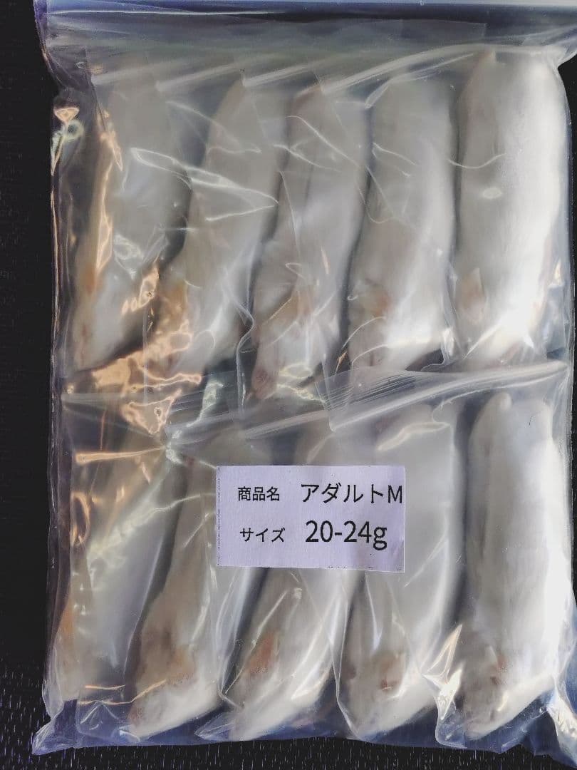 送料無料 冷凍マウスアダルトＬ50匹　アダルトM30匹