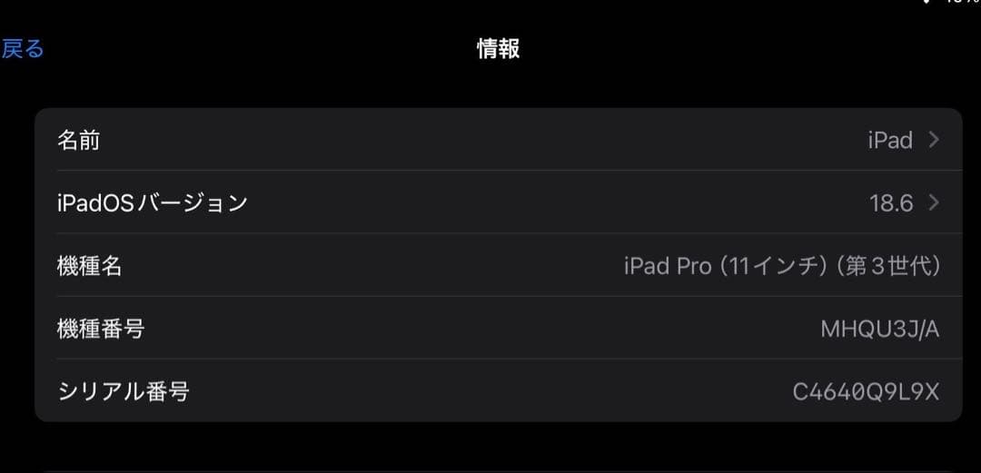 【動作確認済み】iPad Pro 11インチ 第3世代 (M1)256GB