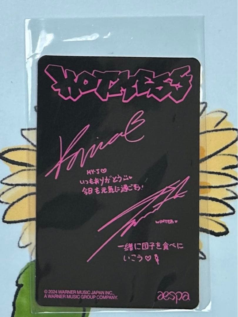 aespa hotmess 東京ドーム 会場限定 ユニット トレカ ジミンジョン