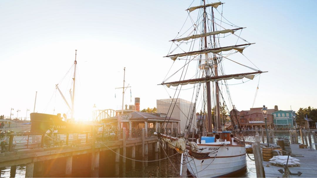 最終値下げSONY FE 24mm F1.4 GM レンズ