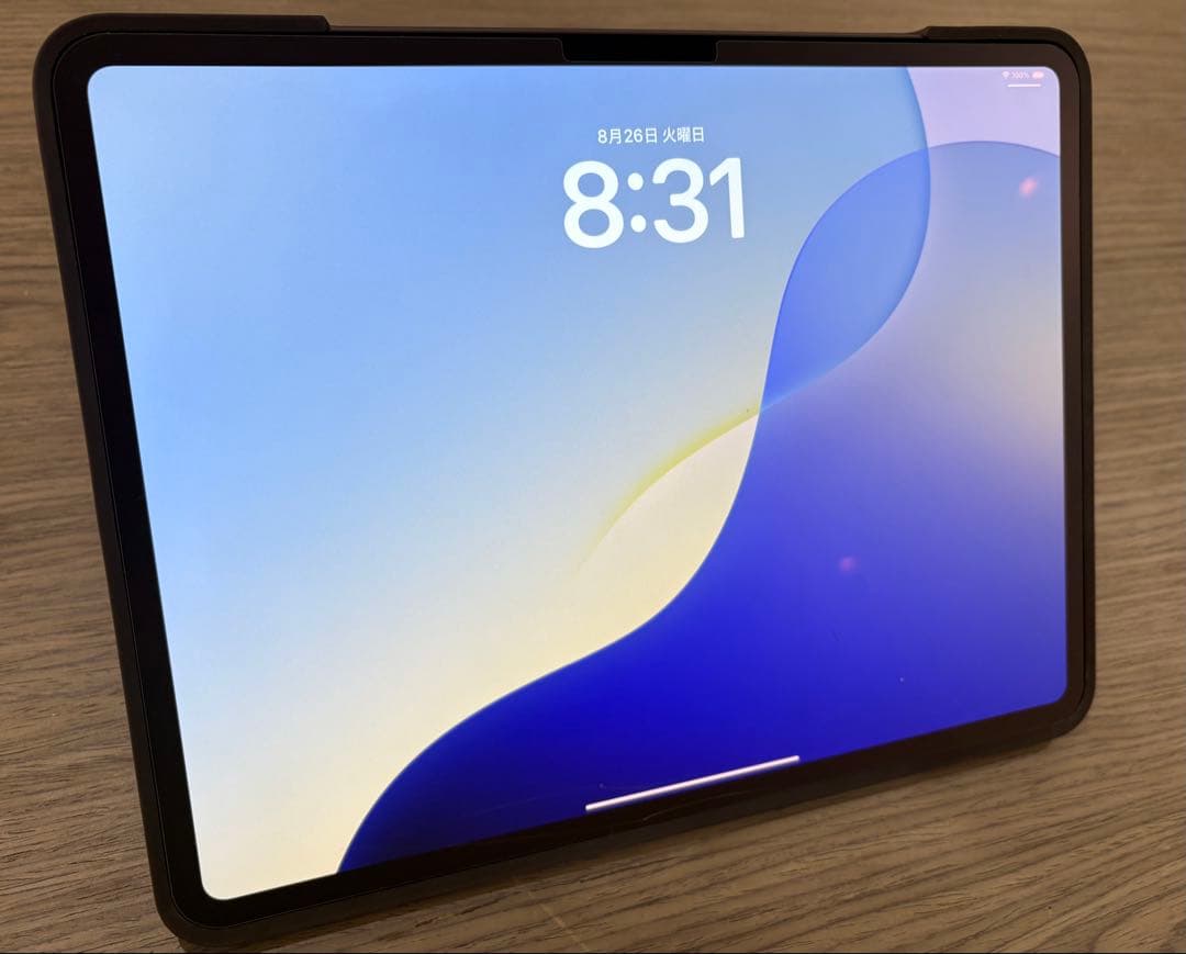 iPad Pro 13インチ（M4/2024） とApple pencil