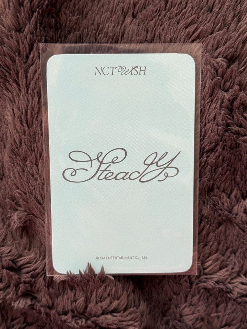 nctwish リク　トレカ　特典　everline エバーラインsteady