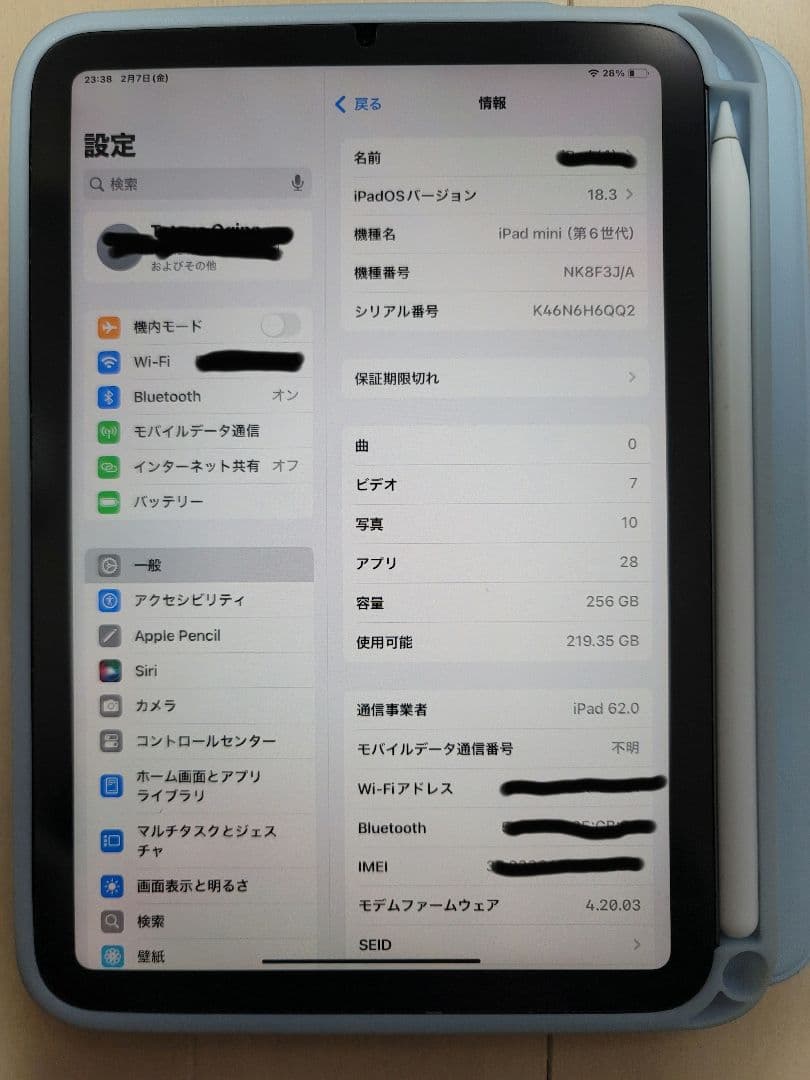 リ*ト様 iPad mini (第6世代) 256GB セルラ+ Apple P