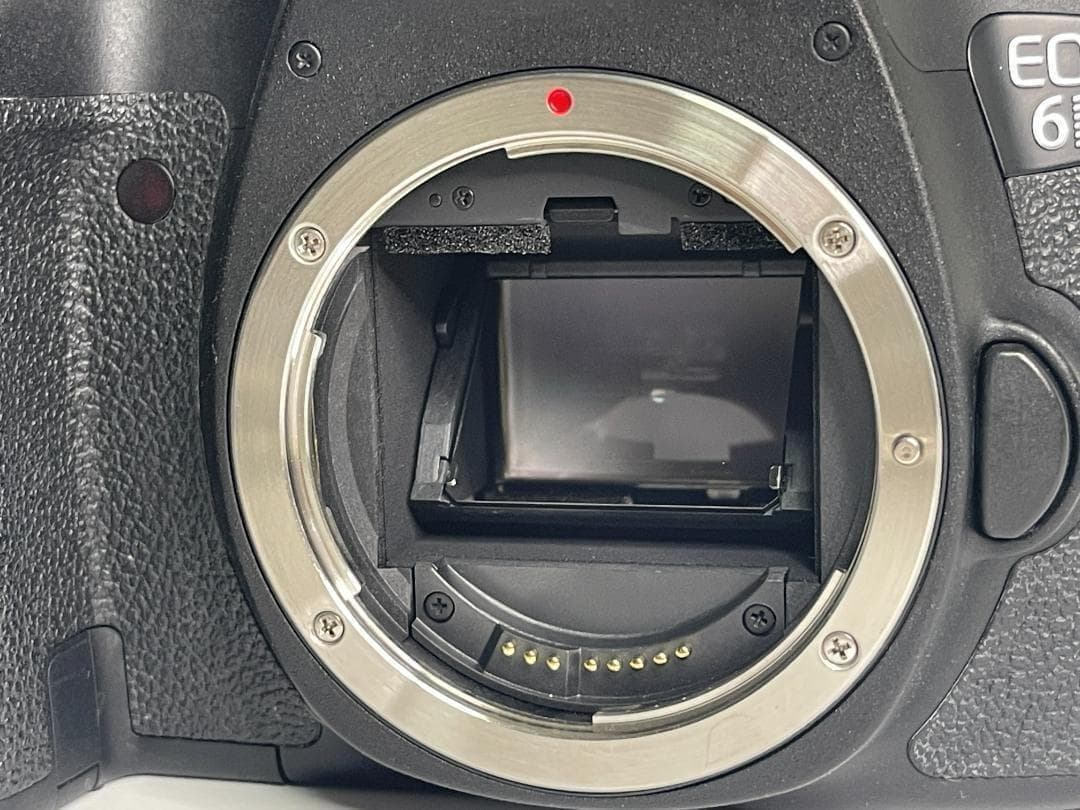 ★ショット18811回★ Canon EOS 6D フルサイズ カメラ キヤノン