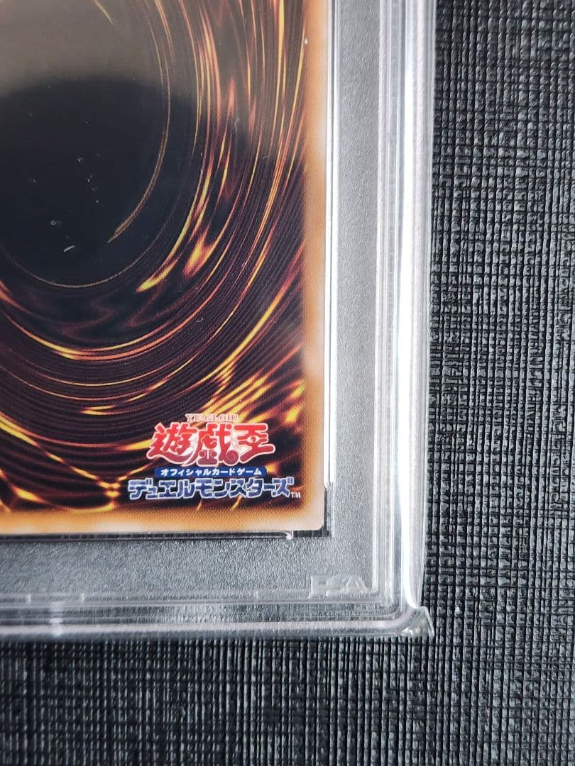 ご*こ様 連番 PSA10 究極完全態 グレートモス ホーリーナイトドラゴン 2