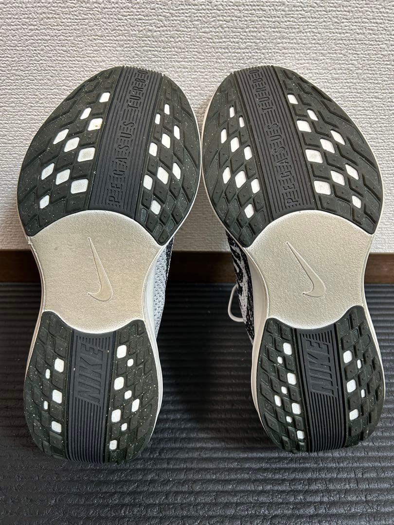 NIKE ペガサスプラス