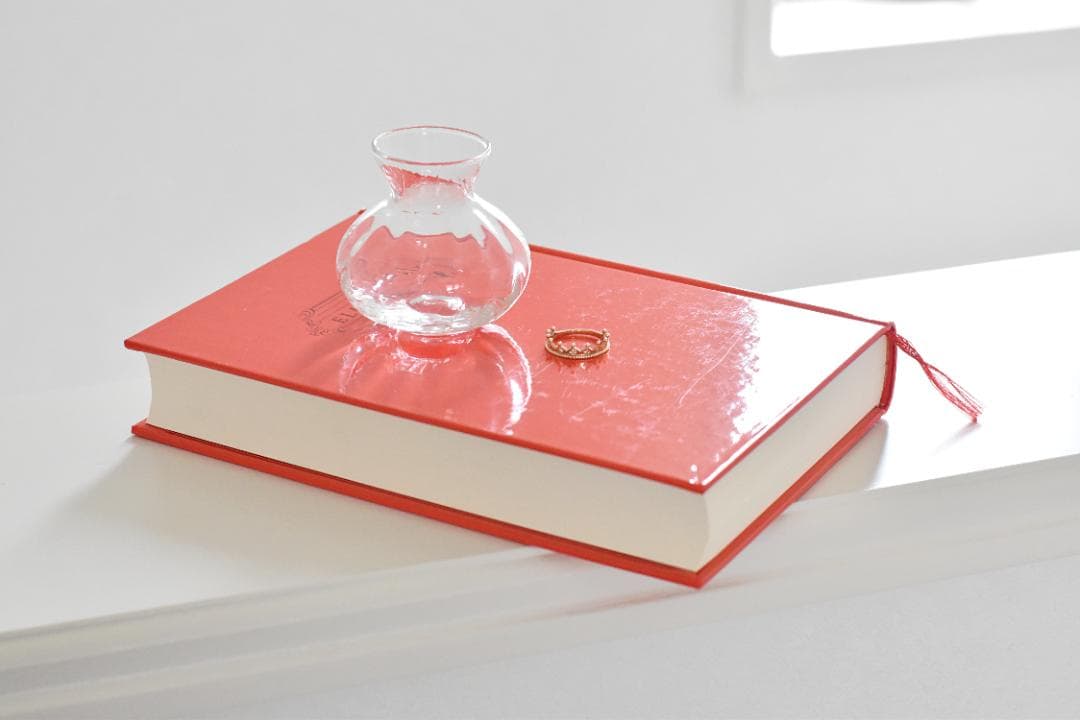 Nikon F フォトミック FTN NIKKOR-S 50mm F1.4