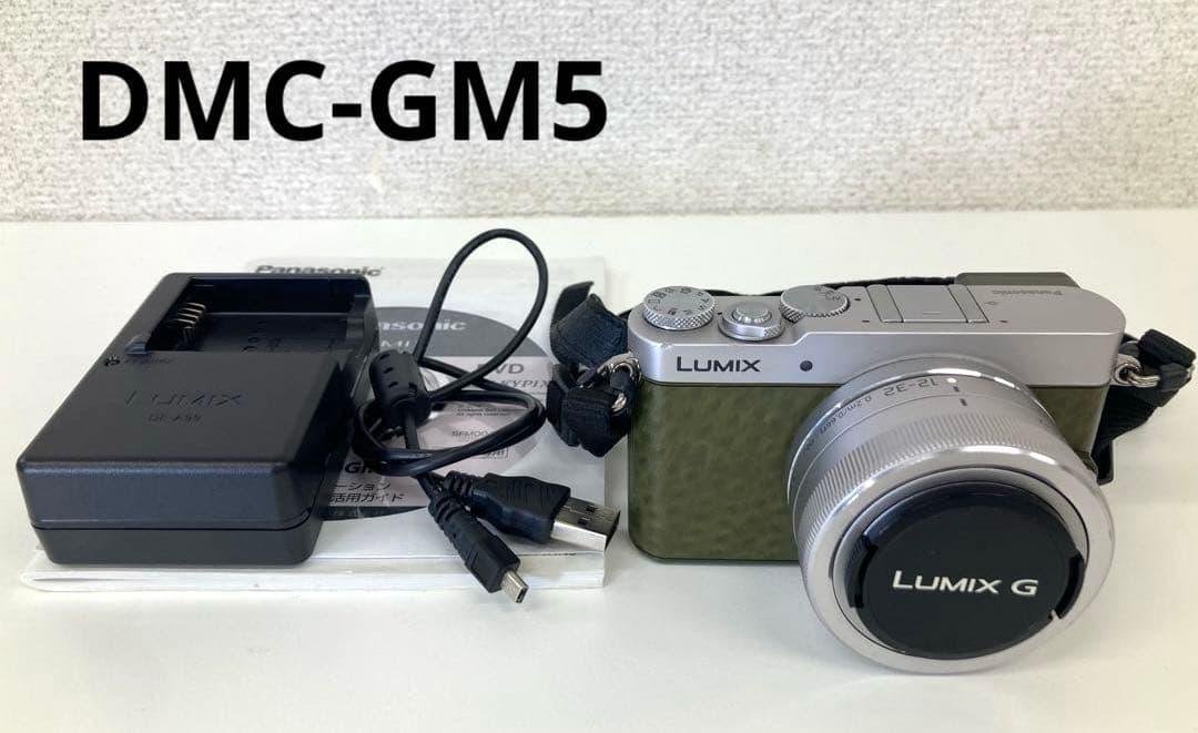 Panasonic LUMIX G DMC-GM5 ミラーレス一眼 カメラ