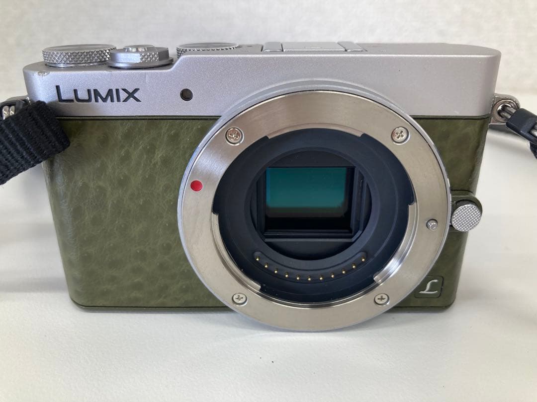 Panasonic LUMIX G DMC-GM5 ミラーレス一眼 カメラ