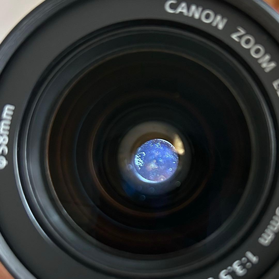 ショット数1544回✨Canon KissX5 標準レンズセット すぐ撮影OK