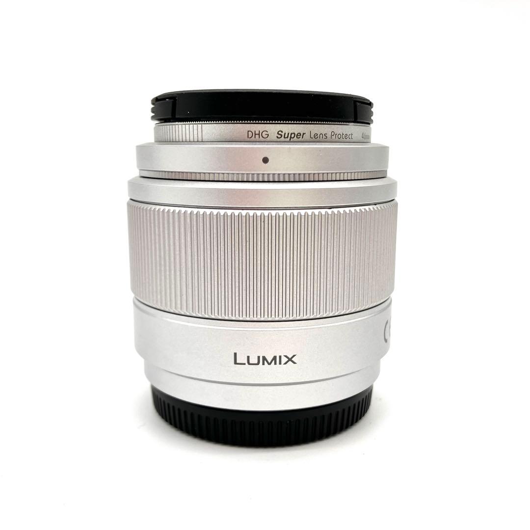 Panasonic LUMIX G 25mm F1.7 H-H025 単焦点