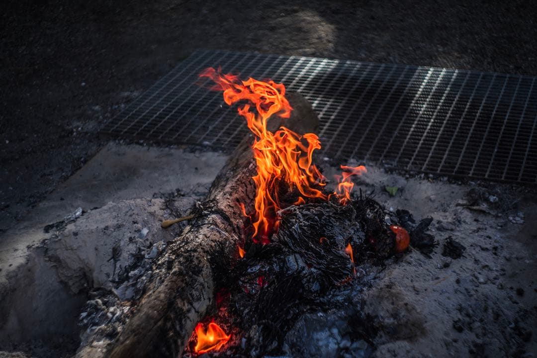 極美品 KMZ Helios-44-2 58mm f2 ぐるぐるボケ