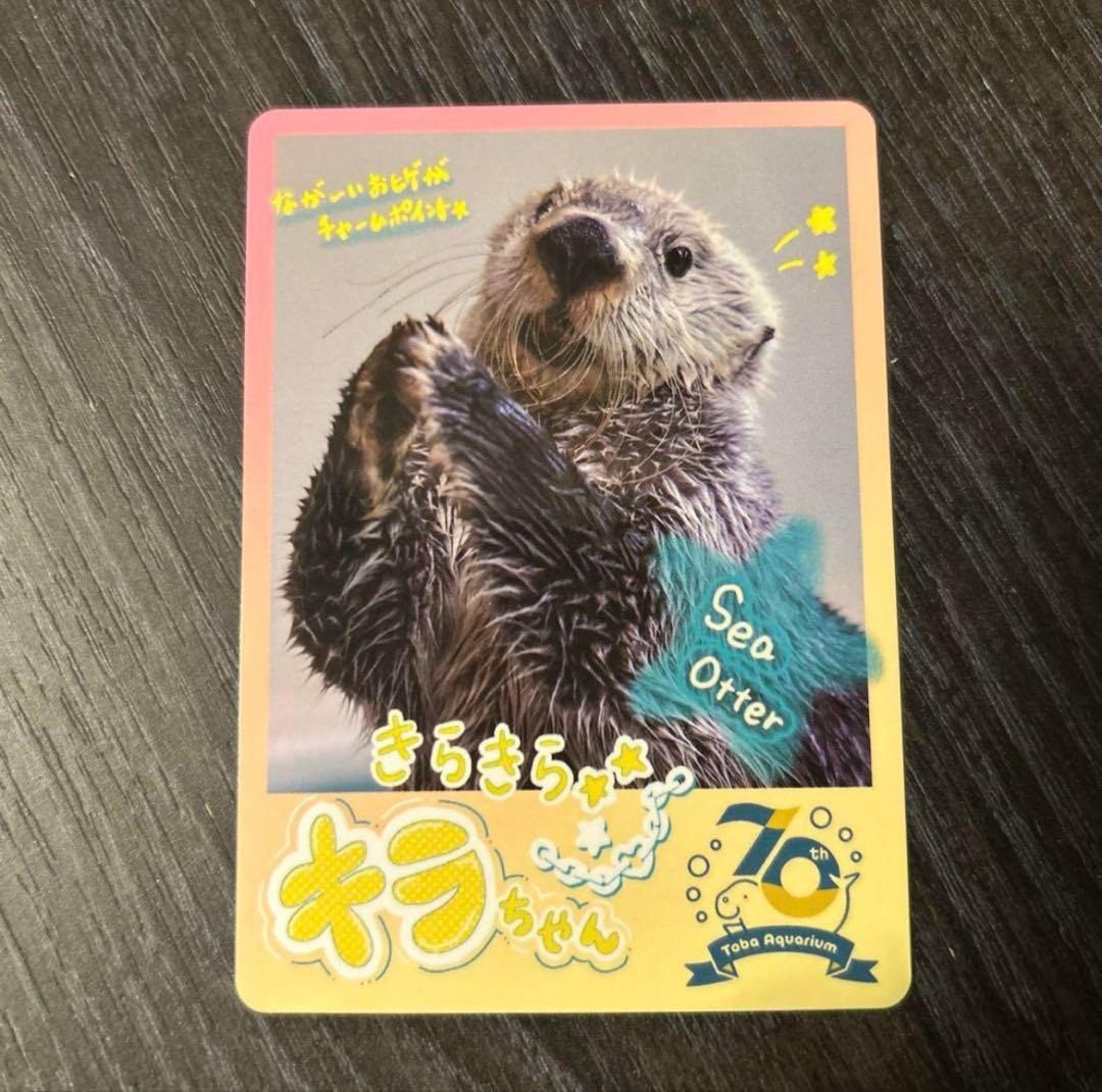 た*ま様 最安値　鳥羽水族館　メイセット(レア+ノーマル)