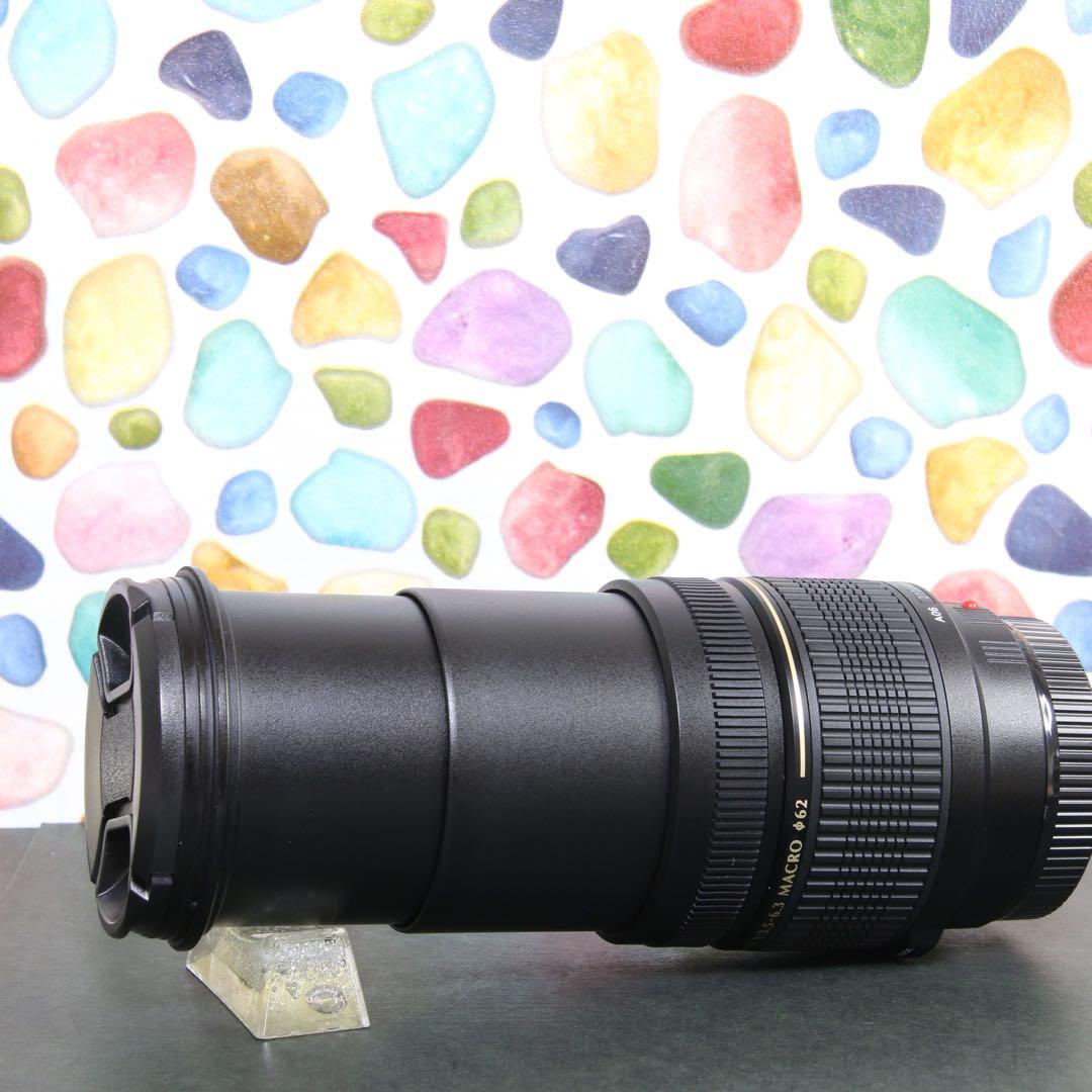 ♥︎◇近くも遠くもOK♪ ◇TAMRON 28-300mm Sony